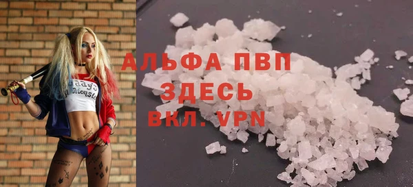 индика Алексеевка